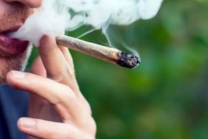 Marijuana şi CEL MAI MARE PERICOL. Noul cannabis ÎI POATE DOBORÎ pe consumatori. News alert