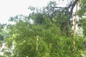 Avertizare meteo: Judeţul Teleorman este sub Cod galben de vânt şi ploi, până joi seară