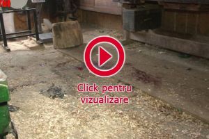 Orbit de gelozie, şi-a sugrumat soţia, iar apoi şi-a dat foc şi şi-a înfipt un cuţit în ...