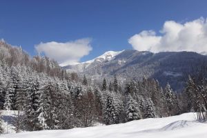 Avertizare meteo de ninsori şi viscol
