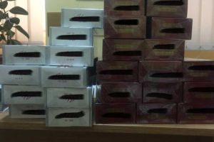 Mii de ţigări de contrabandă depistate asupra unei femei, în Timiş