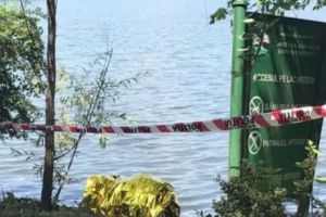 Cadavrul unui bărbat a fost descoperit în Micălaca
