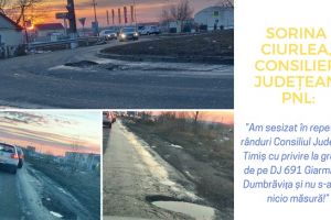 Consilier judeţean din Timiş: Drumul de acces de la autostradă spre Timişoara este plin de gropi