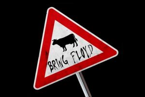 Concert tribut Pink Floyd în oraşul de pe Bega