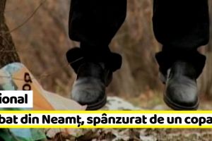 Naţional: Bărbat din Neamţ, găsit spânzurat de un copac pe o stradă din Cluj