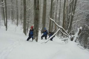 Un bărbat a petrecut o noapte în pădure după ce s-a rătăcit. Acesta a fost SALVAT  jandarmi, lucrători I.S.U, lucrători din cadrul Salvamont Vâlcea şi voluntari din comuna Câineni