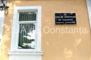 Declaratie de avere - Diana Budau, consilier superior la Casa de Asigurari de Sanatate Constanta (document)