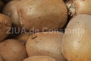 Kiwi ajuta la eliminarea toxinelor din colon