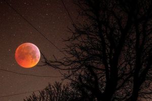 SUPER FOTOGRAFII cu eclipsa totală de Lună! Cum arată „Luna sângerie a lupului”