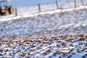 Iarnă deosebită – grijă deosebită pentru  lucrări agricole în repausul vegetativ3 – Motive întemeiate pentru  arat terenul toamna. Printre agronomi circulă butada cum că producţia agricolă este  dependentă integral de triada  ,, casă – masă – rasă ”. Casa este reprezentată de sol şi parametrii acestuia, masa o constituie fertilitatea naturală a acestuia, potenţată cu aportul gunoiului de grajd şi 