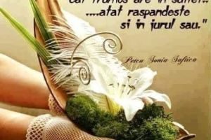Suflet frumos …