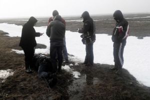 Bărbat găsit mort în judeţul Satu Mare. Ar fi fost sfâşiat de porc mistreţ