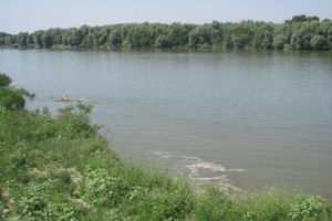 Dosar penal pentru un bărbat din Crăciunelul de Jos care pescuia în Târnava prin ”metoda greblării”
