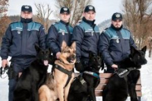 Grupa Canina din cadrul IPJ Maramures, felicitata pentru activitatea din anul 2018