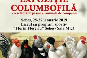 O nouă ediţie a ”Expoziţiei Columbofile” în acest weekend, la Sebeş. Participă 90 de crescători, iar intrarea este liberă