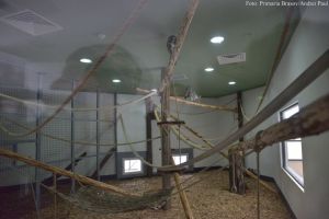 Noutăţi, la Grădina Zoologică din cartierul Noua