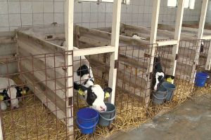 Consiliul Judeţean Harghita pierde fonduri europene şi anul acesta din cauza absenţei antreprenorilor locali
