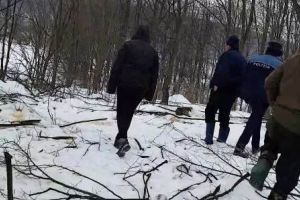 FOTO: Cum a păcălit pădurarii un bărbat din Fitioneşti şi a tăiat mai mulţi copaci, ilegal