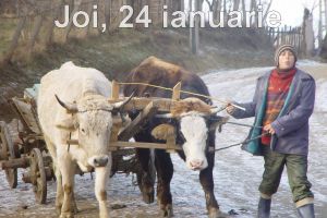 Sprijiniţi-vă pe ţărani!