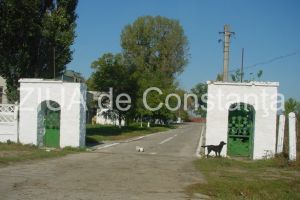 Tribunalul a decis: Societatea Nazarcea Ovidiu SA, in faliment. Se ridica sigiliul pentru valorificarea bunurilor  