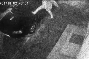 Video: Maşini din Târgu-Jiu, vandalizate cu lovituri de picioare!