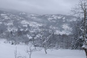 Vrei să scapi de agitaţia oraşului şi să te relaxezi? Acest loc este aproape de Arad şi pare desprins dintr-un BASM (FOTO)