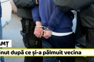 NEAMȚ: Reţinut după ce şi-a pălmuit vecina
