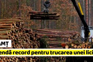NEAMȚ: Aproape 500.000 euro amendă pentru trucarea unei licitaţii