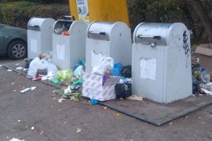 Polaris Târgu Jiu, amendată cu 2.000 de lei de poliţiştii locali