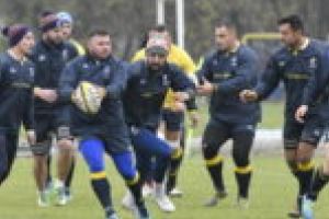 Timişoara Saracens are şapte jucători convocaţi la naţionala României de rugby