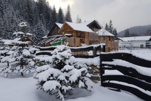 Asociaţia „Păstrăvul Românesc”, recent înfiinţată la Valea Putnei