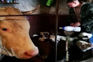 INCREDIBIL. Este al DOILEA CAZ în România. Nimeni nu a CREZUT că se mai poate întâmpla VREODATĂ