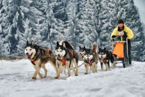 Cupa Băile Tuşnad 2019