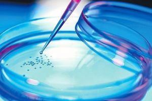 Bancă de celule stem hematopoietice, deschisă la Iaşi