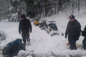 Degajare de arbori în zona staţiunii Sovata