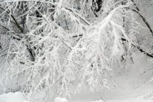 ANM a prelungit Codul galben de precipitatii mixte, polei si ceata pentru Transilvania si Dobrogea