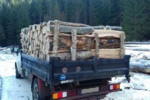 Material lemnos confiscat de poliţişti şi pădurari la Șimoneşti şi Borsec