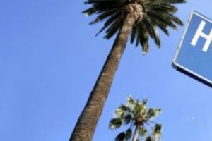 Unul dintre cele mai solide şi frumoase cupluri de la Hollywood ar fi la un pas de DIVORŢ. Foto în articol