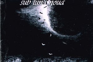 Ion Popescu-Brădiceni: Alexandru Ionică Getodacul – Un jurnal autoreferenţial al celor două iubite: femeia şi poezia