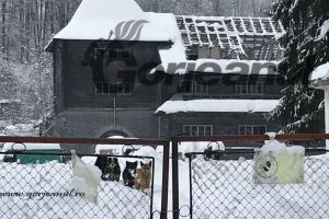 Singura mină de grafit din România stă închisă la Baia de Fier