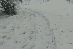 Video: Femeie decedată în satul Pinoasa, îngropată cu ajutorul unui utilaj al Carierei Tismana 1! Drumul înzăpezit spre cimitir, lăsat sub nămeţi de primarul Vulpe