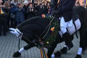 O fotografie cu un cal care îngenunchează în faţa lui Statuii lui Mihai Viteazul de la Alba Iulia, virală pe internet