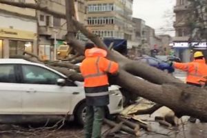 8 maşini au fost avariate în Capitală, de copacii rupţi de vânt 