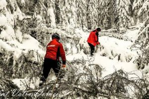 Zeci de arbori înlăturaţi de salvamontiştii dorneni pentru a redeschide traseul spre cabana ...