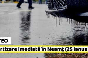METEO: Avertizare imediată în judeţul Neamţ (25 ianuarie). Polei