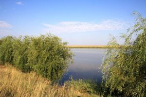 Bărbaţi din Ocna Mureş şi Unirea, cu unelte de tip ”paraşută” la pescuit