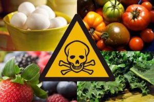 Recomandările DSVSA Satu Mare pentru prevenirea toxiinfecţiilor alimentare
