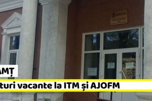 NEAMȚ: Posturi vacante la ITM şi AJOFM