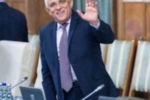 Norica Nicolai, despre cormoranii care fac baie în piscine: “PETRE DAEA a fost APLAUDAT de europarlamentari”