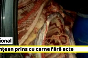 Naţional: Nemţean prins cu aproape 700 kg de carne, fără acte
